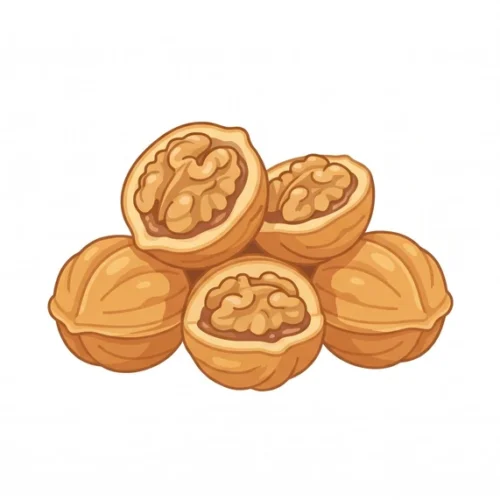 Hodu-gwaja Korean Food Illustration