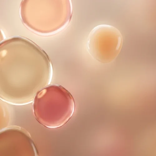 Peach Gold Bubble Bokeh Abstract Background