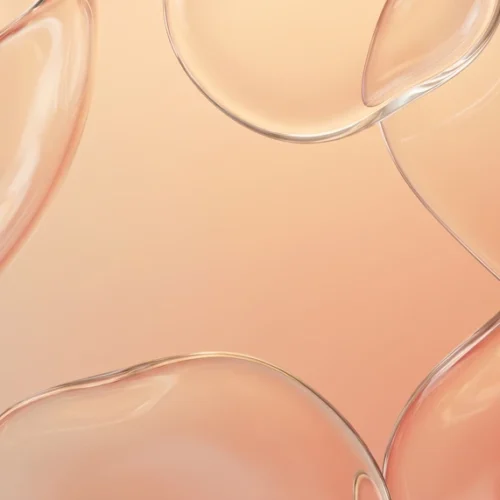 Coral Peach Transparent Bubble Abstract Background