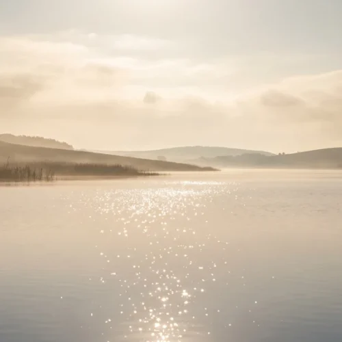 Sunlit Water Reflection Background