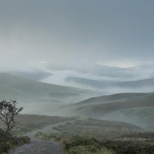 Highland Mist Background