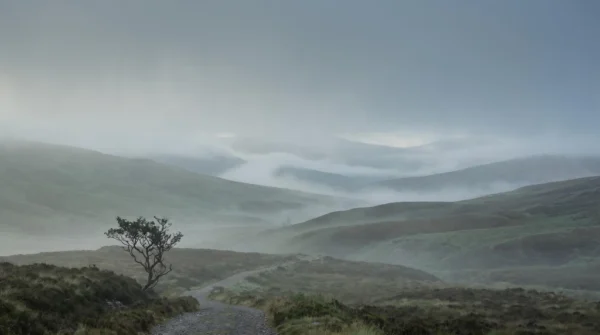 Highland Mist Background Highland Mist Background