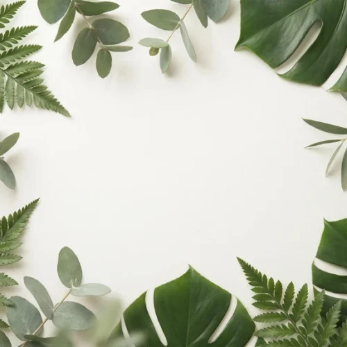 Botanical Foliage Background with Copy Space