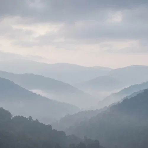 Foggy Valley Background