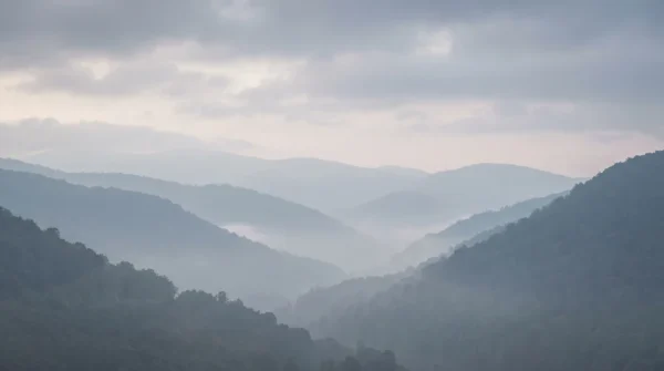 Foggy Valley Background Foggy Valley Background