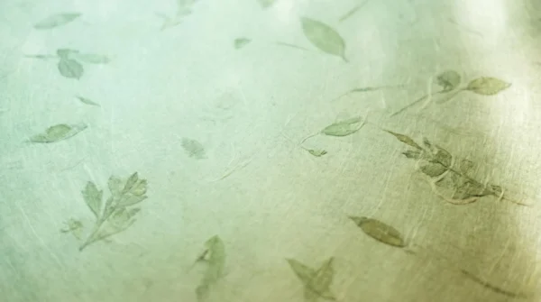 Eco Green Gradient Nature Background