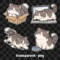 Judgy Cat Digital Stickers, 2D flat cat clipart, goodnotes stickers, cute png, cat digital journaling set, transparent