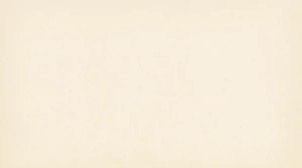 Minimal Clean Aged Paper Texture